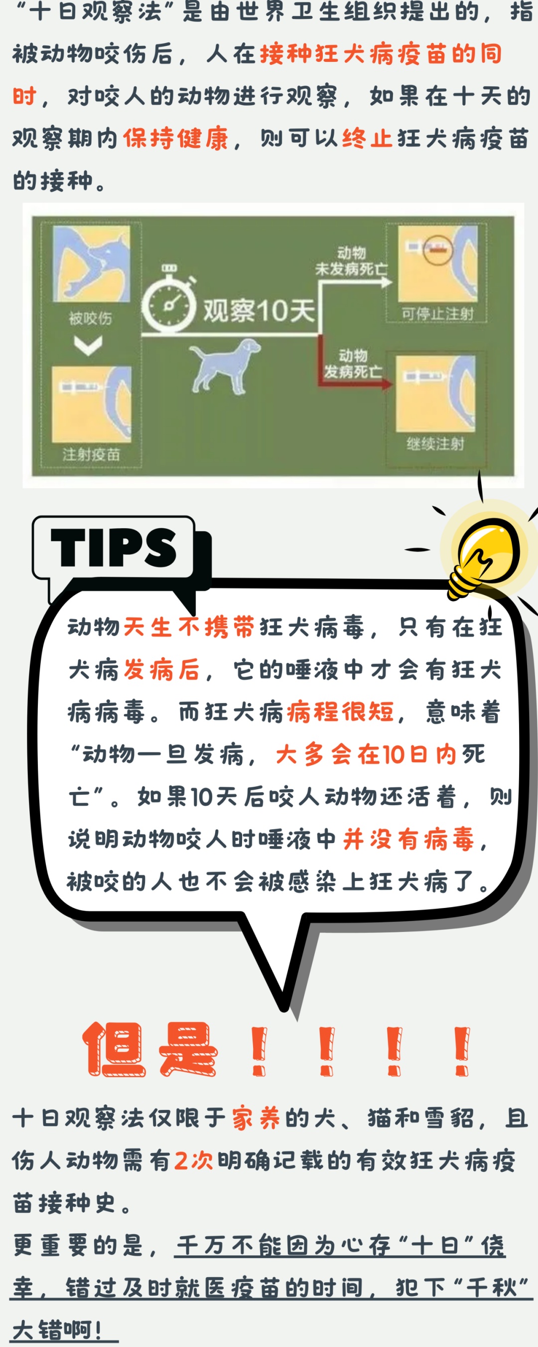 澳门管家婆四肖选一肖期期准,澳门管家婆四肖选一肖期期准——揭开神秘面纱下的违法犯罪真相