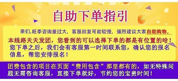 2004澳门天天开好彩大全,澳门天天开好彩背后的真相与警示——一个关于违法犯罪问题的探讨