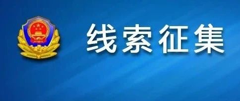 澳门正版资料免费大全新闻——揭示违法犯罪问题,澳门正版资料免费大全新闻——深入揭示违法犯罪问题的严峻现实