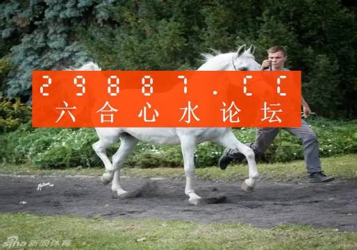 7777788888精准跑狗图正版,探索正版精准跑狗图，77777与88888的神秘世界