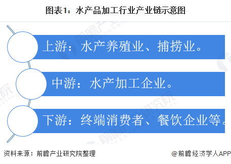 2025新澳资料免费精准资料,探索未来，2025新澳资料免费精准资料的重要性与价值