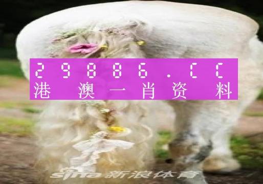 2023澳门正版全年免费资料,澳门正版全年免费资料，探索与期待