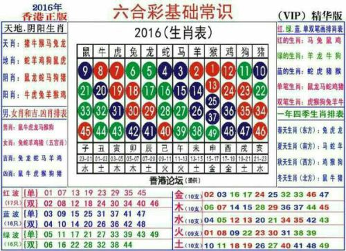 2025十二生肖49码表,揭秘十二生肖与数字密码，2025十二生肖49码表深度解析