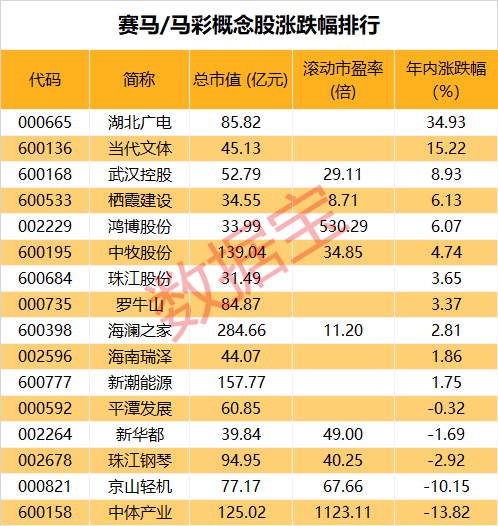 2025澳门马今晚开奖记录,澳门马今晚开奖记录——探索彩票背后的故事与期待