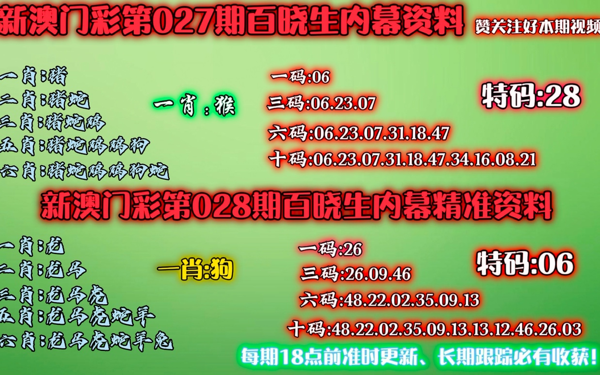 澳门精准一肖一码一码,澳门精准一肖一码一码，探索背后的神秘与魅力